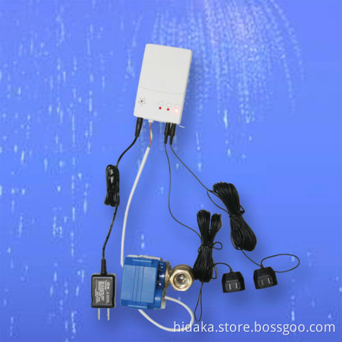 water detector for smart home with motion sensor for home system